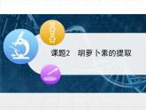 人教版 (新課標)高中生物選修1 6-2《胡蘿卜素的提取》課件