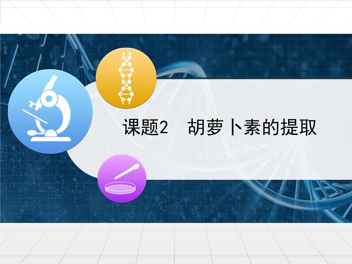 人教版 (新课标)高中生物选修1 6-2《胡萝卜素的提取》课件第1页