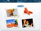 人教版 (新課標)高中生物選修1 6-2《胡蘿卜素的提取》課件