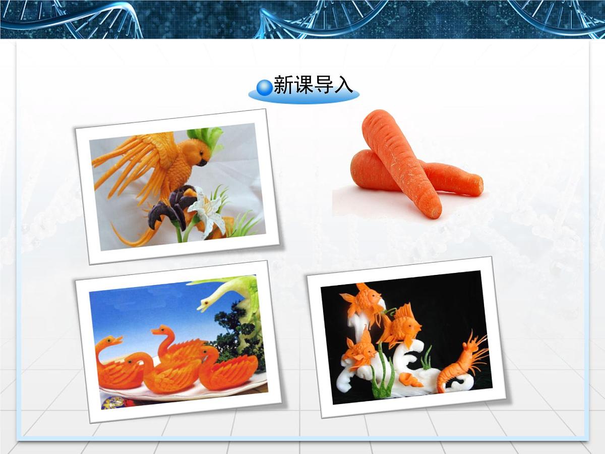 人教版 (新课标)高中生物选修1 6-2《胡萝卜素的提取》课件第2页