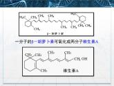人教版 (新課標)高中生物選修1 6-2《胡蘿卜素的提取》課件