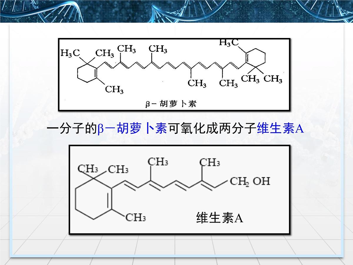 人教版 (新课标)高中生物选修1 6-2《胡萝卜素的提取》课件第4页