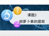 人教版 (新課標)高中生物選修1 6-2《胡蘿卜素的提取》課件