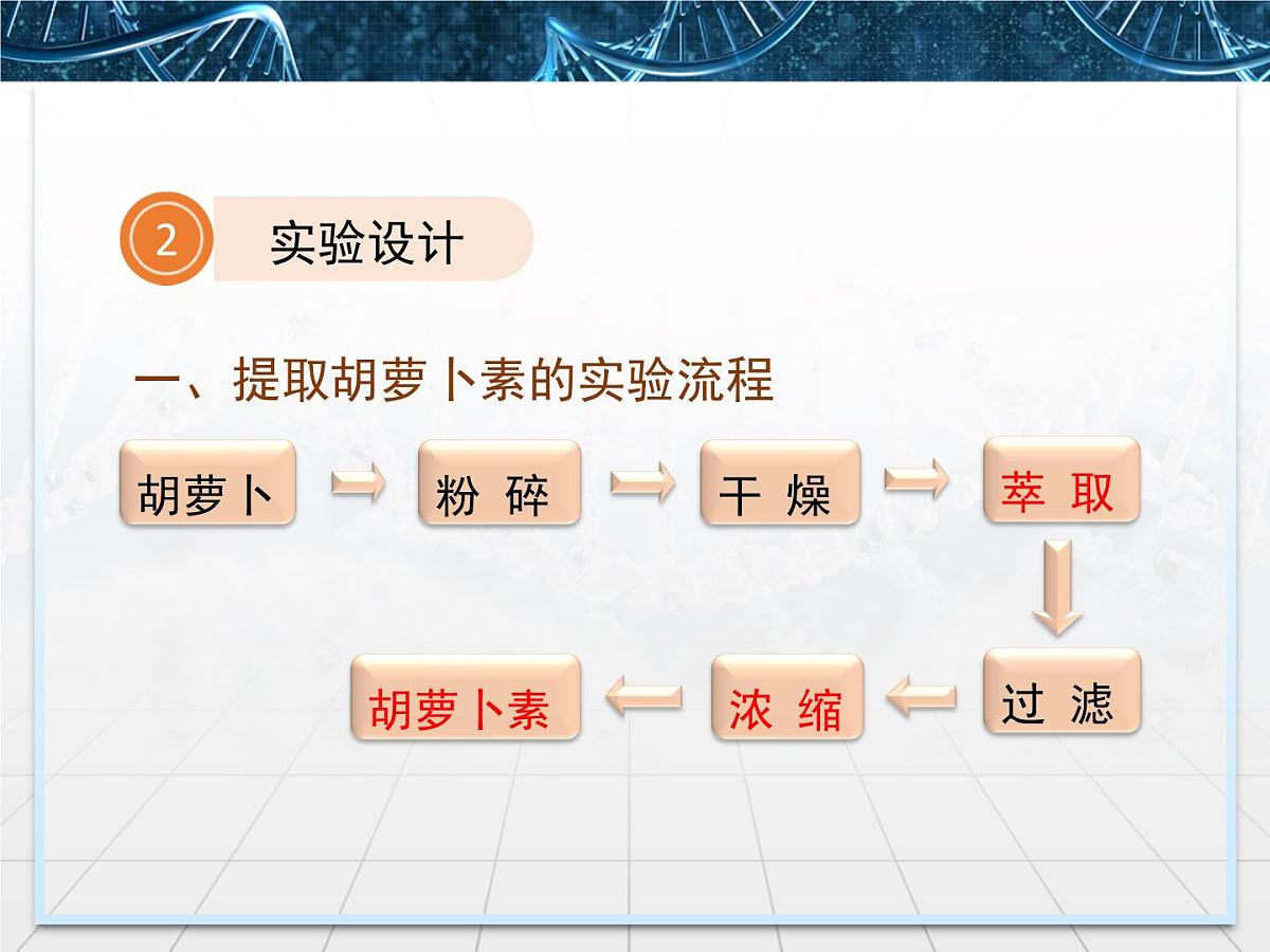 人教版 (新课标)高中生物选修1 6-2《胡萝卜素的提取》课件第8页