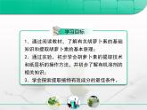 人教版 (新課標)高中生物選修1 6-2《胡蘿卜素的提取》復習課件