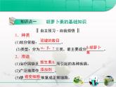 人教版 (新課標)高中生物選修1 6-2《胡蘿卜素的提取》復習課件