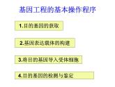 高中生物人教版（新課標(biāo)）選修3 專題1《基因工程的基本操作程序》課件