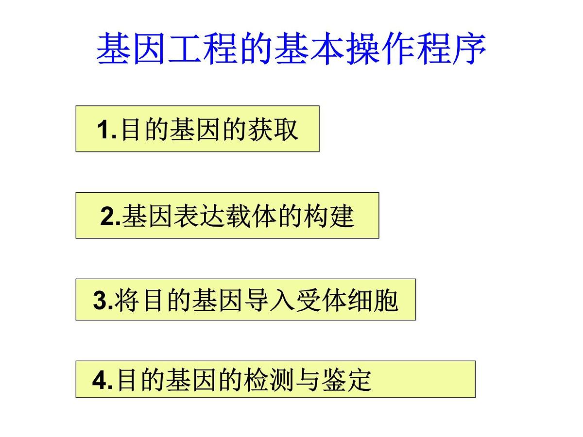 高中生物人教版（新课标）选修3 专题1《基因工程的基本操作程序》课件第4页