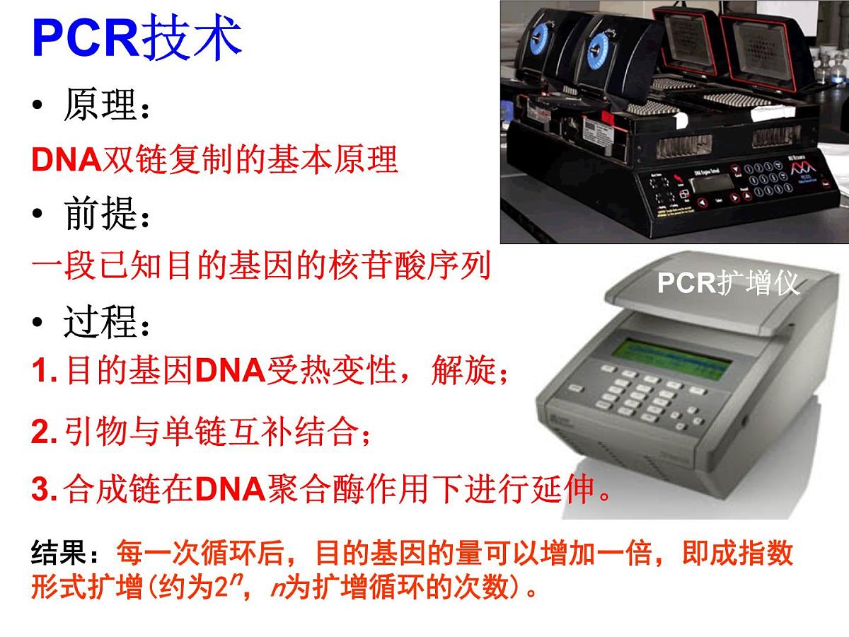 高中生物人教版（新课标）选修3 专题1《基因工程的基本操作程序》课件第8页