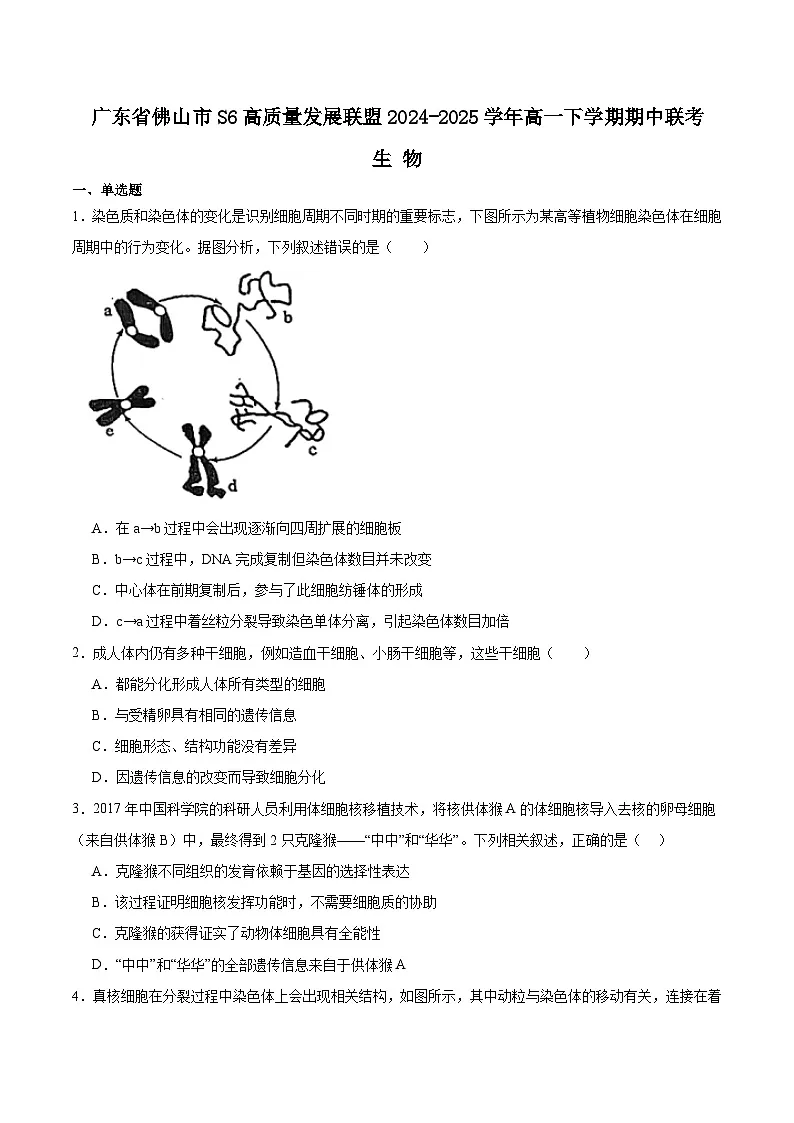 广东省佛山市S6高质量发展联盟2024-2025学年高一下学期期中联考生物试题（Word版附答案）第1页
