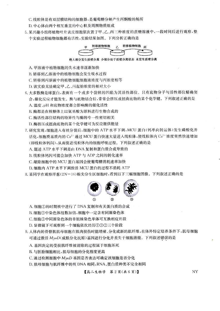 河南省南阳市2024-2025学年高二下学期6月期末联考生物试题（PDF版附解析）第2页