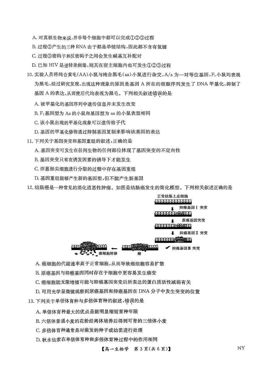 河南省南阳市2024-2025学年高一下学期6月期末联考生物试题（PDF版附解析）第3页