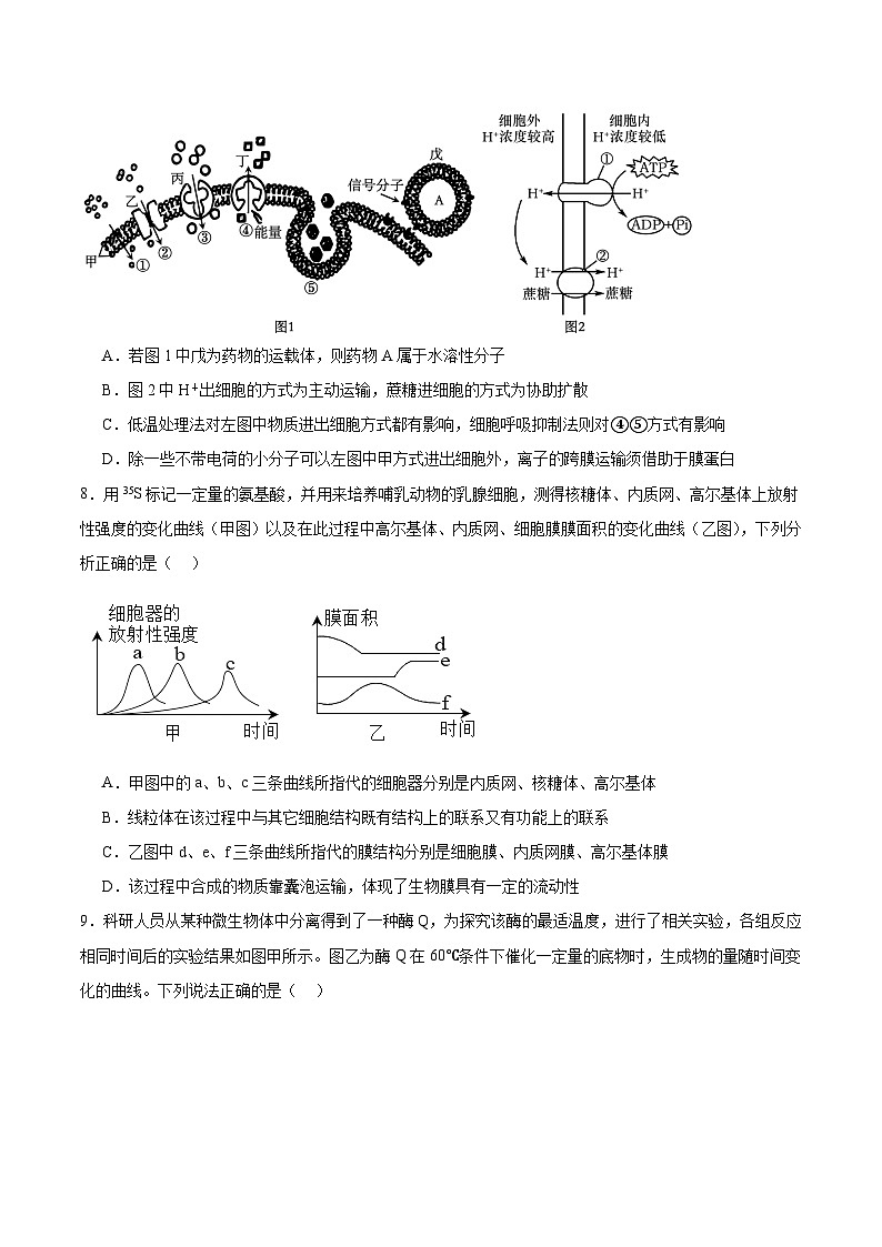 湖北省宜昌市部分省级示范高中2024-2025学年高一下学期期中考试生物试题（Word版附答案）第3页