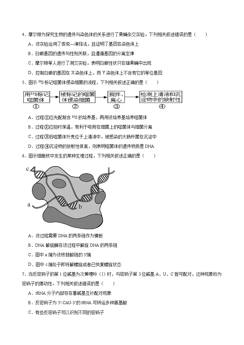 江苏省常州市2024-2025学年高一下学期4月期中考试生物试题（Word版附答案）第2页