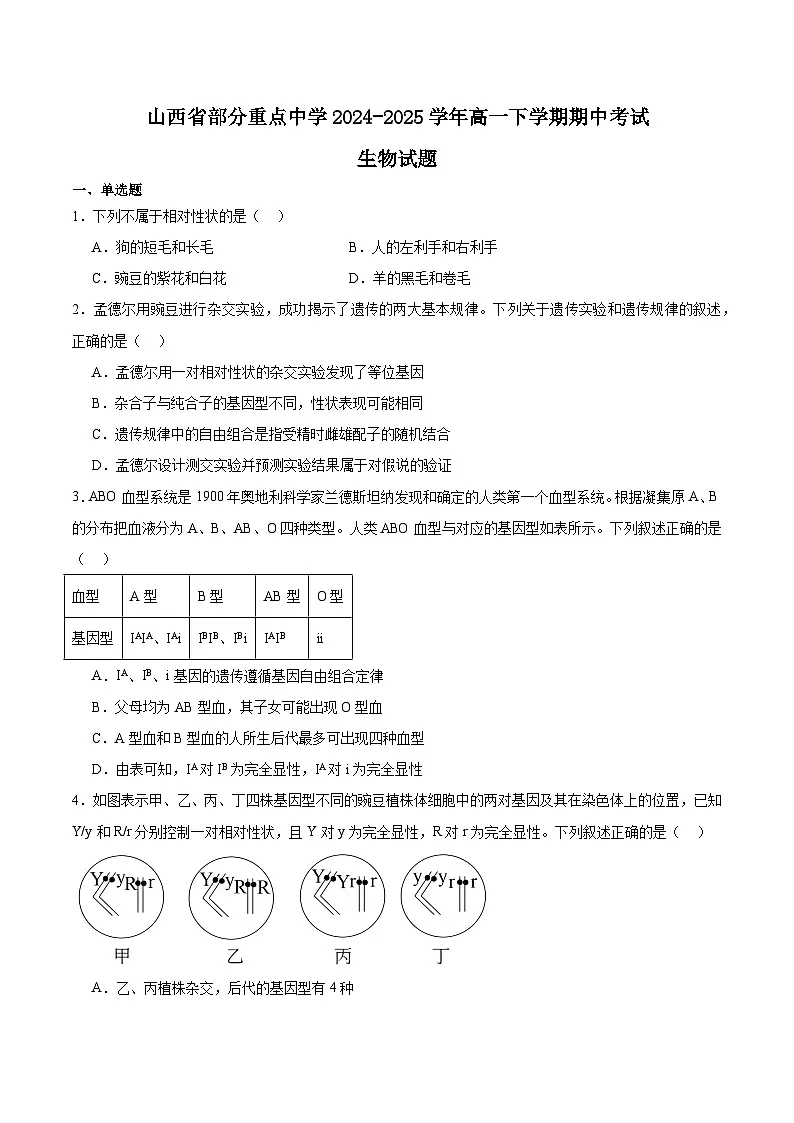 山西省部分重点中学2024-2025学年高一下学期期中考试生物试题（Word版附答案）第1页