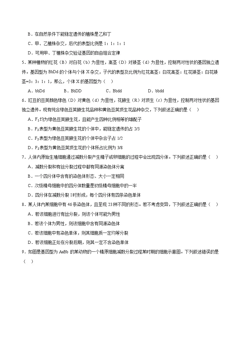 山西省部分重点中学2024-2025学年高一下学期期中考试生物试题（Word版附答案）第2页
