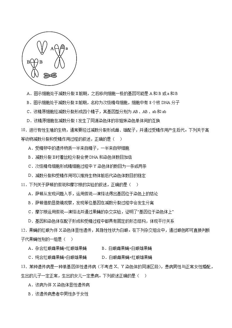 山西省部分重点中学2024-2025学年高一下学期期中考试生物试题（Word版附答案）第3页