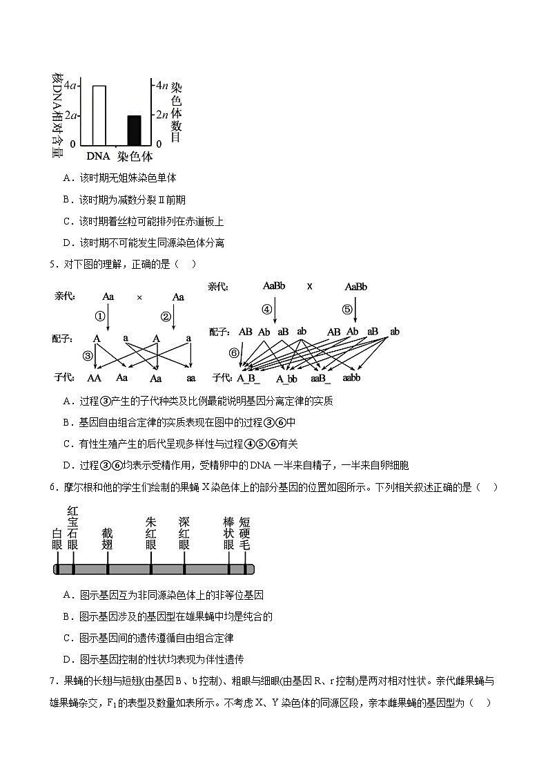 陕西省部分学校2024-2025学年高一下学期期中联考生物试题（Word版附答案）第2页