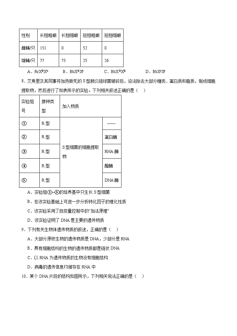 陕西省部分学校2024-2025学年高一下学期期中联考生物试题（Word版附答案）第3页