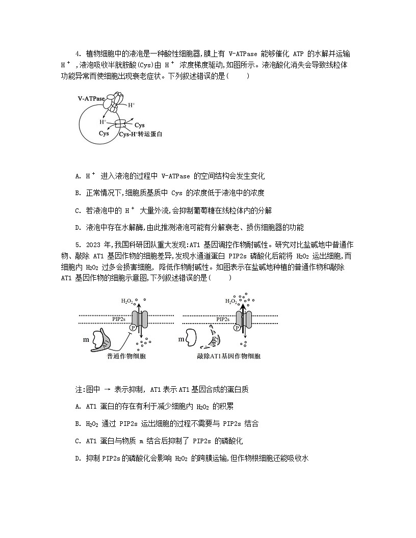 四川省成都市石室中学2024-2025学年高二下学期2026届零诊模拟考试生物试题（Word版附答案）第2页