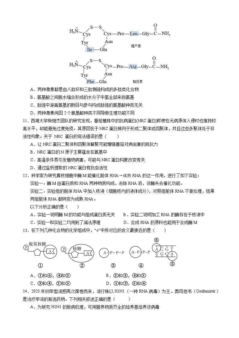 高二下专题复习卷1第3页