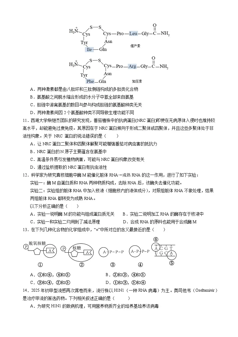 高二下专题复习卷1第3页