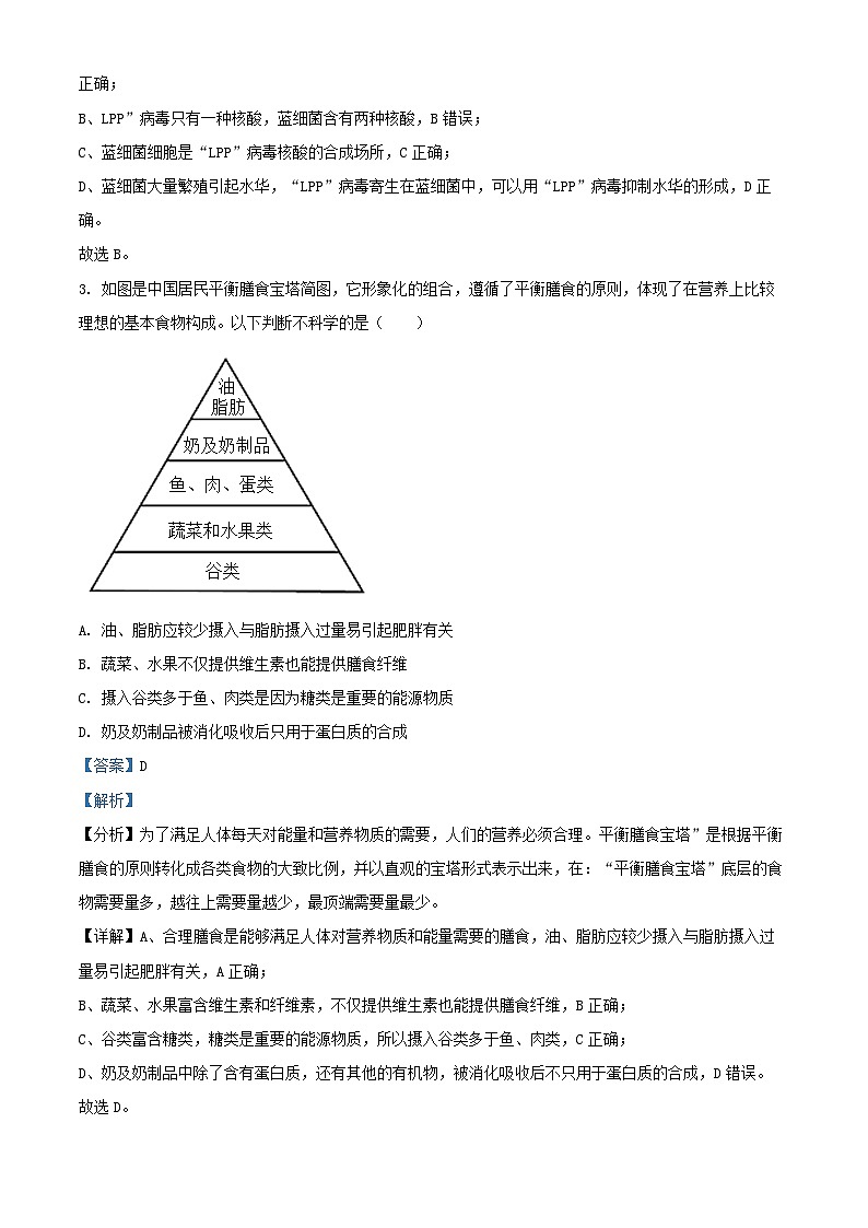 安徽省2024_2025学年高一生物上学期11月期中测试A卷试题含解析第2页