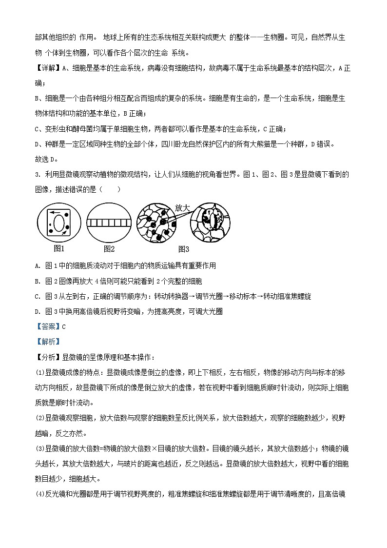 安徽省宿州市省市示范高中2024_2025学年高一生物上学期11月期中试题含解析第2页