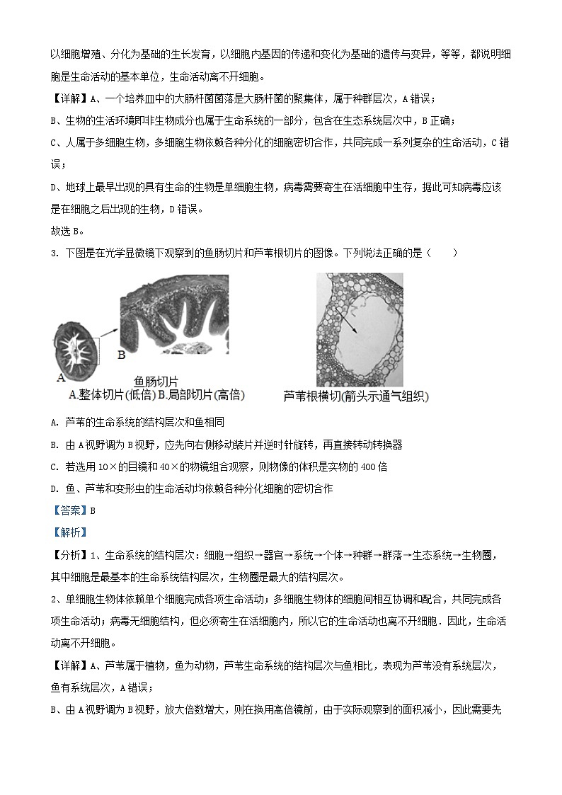 福建省福州市2024_2025学年高一生物上学期11月期中试题含解析第2页