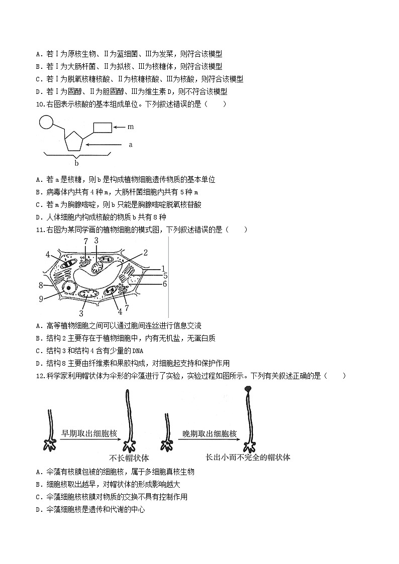 湖南省2024_2025学年高一生物上学期期中试题第3页