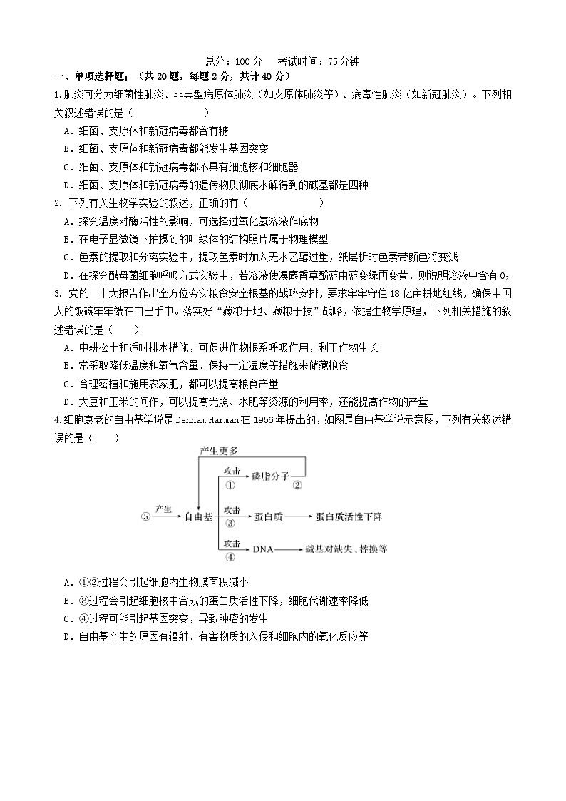 云南省玉溪市2024_2025学年高二生物上学期第二次月考试题第1页