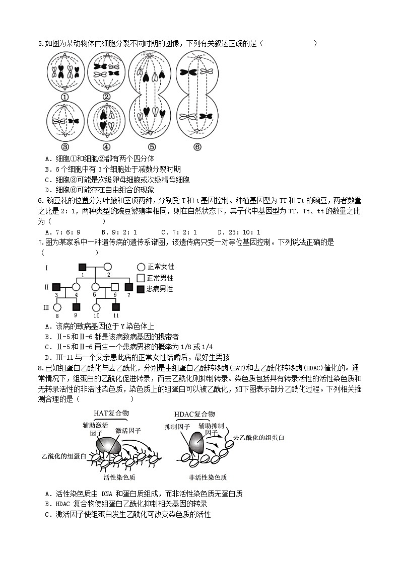 云南省玉溪市2024_2025学年高二生物上学期第二次月考试题第2页