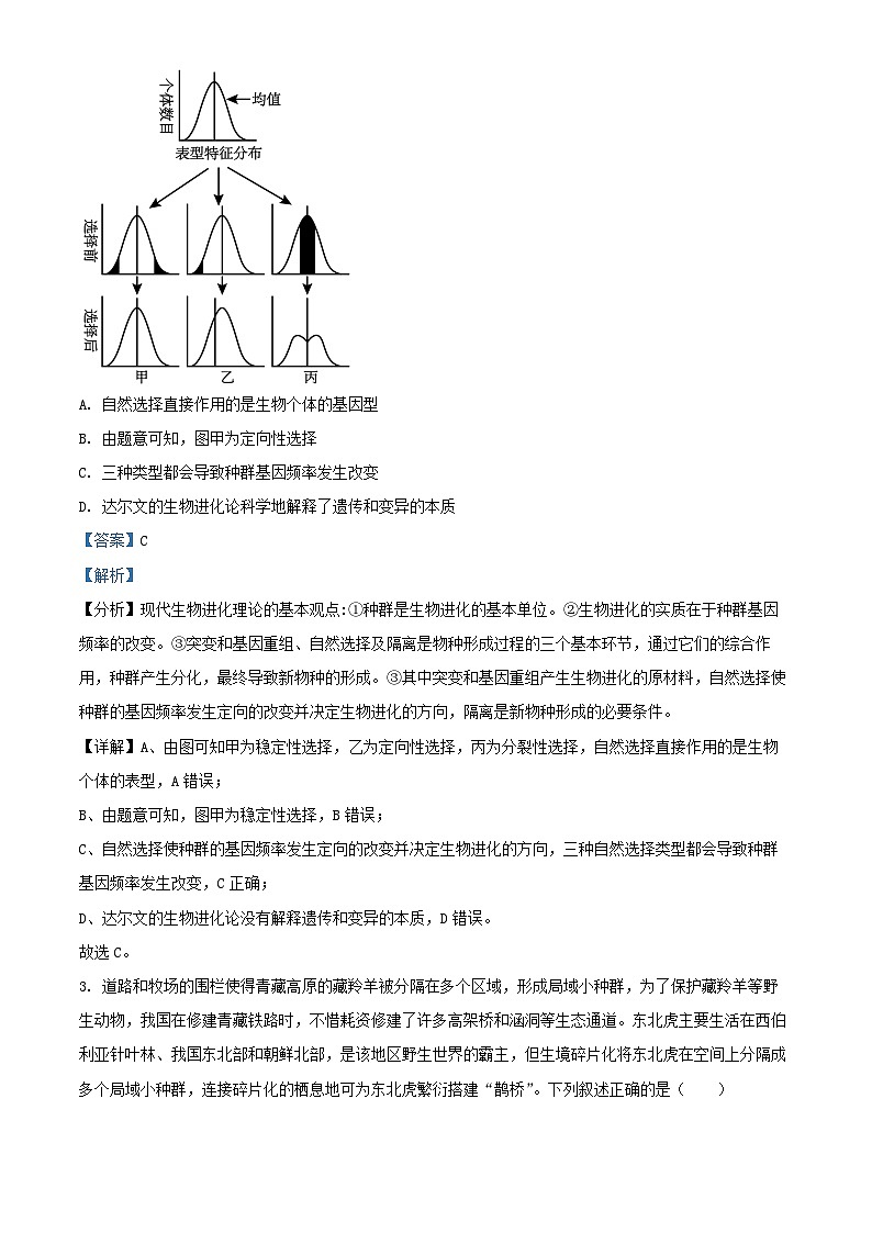 湖北省2024_2025学年高二生物上学期11月期中测试试题含解析第2页