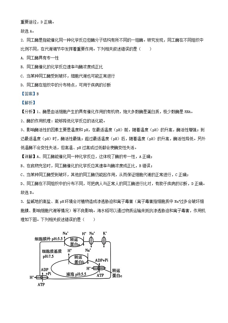 湖北省2024_2025学年高三生物上学期第二次联合测评11月月考试题含解析第2页
