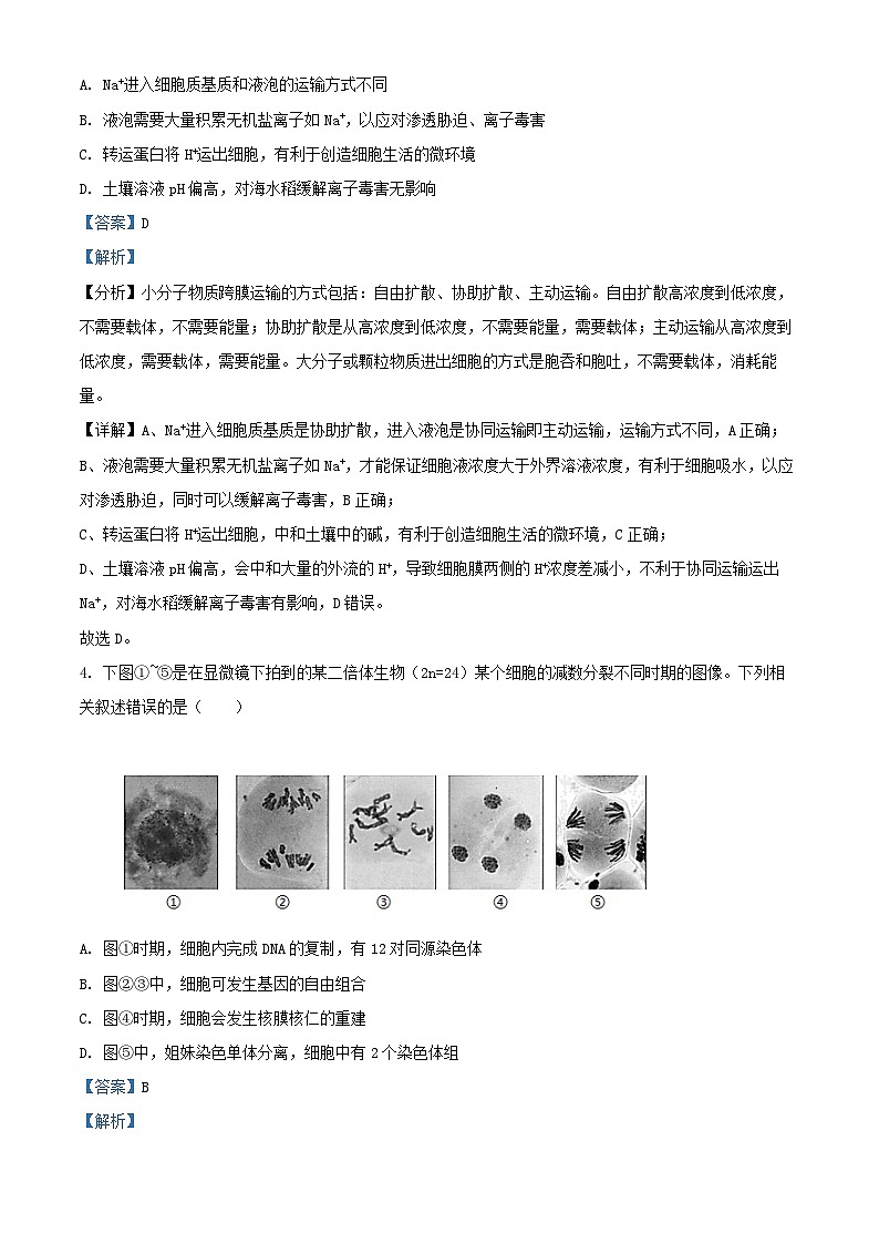 湖北省2024_2025学年高三生物上学期第二次联合测评11月月考试题含解析第3页