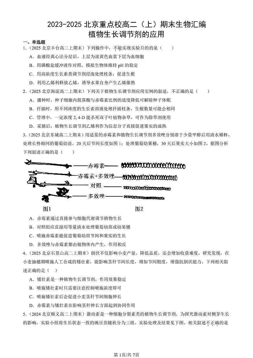 2023-2025北京重点校高二（上）期末真题生物汇编：植物生长调节剂的应用 有答案第1页