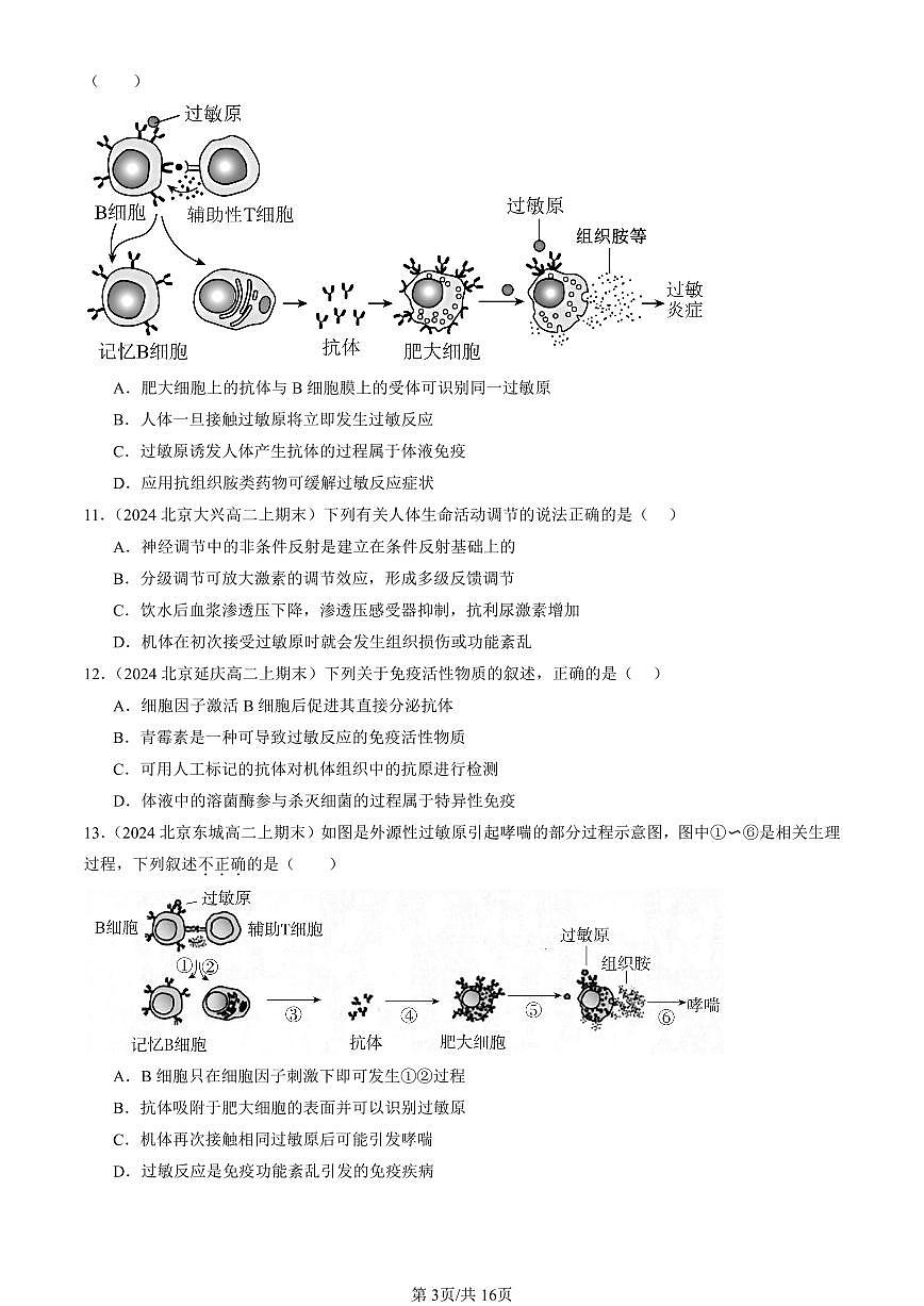 2023-2025北京重点校高二（上）期末真题生物汇编：免疫失调 有答案第3页