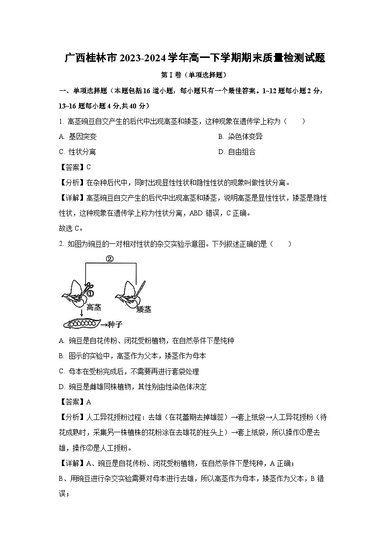 【生物】广西桂林市2023-2024学年高一下学期期末质量检测试题（解析版）第1页