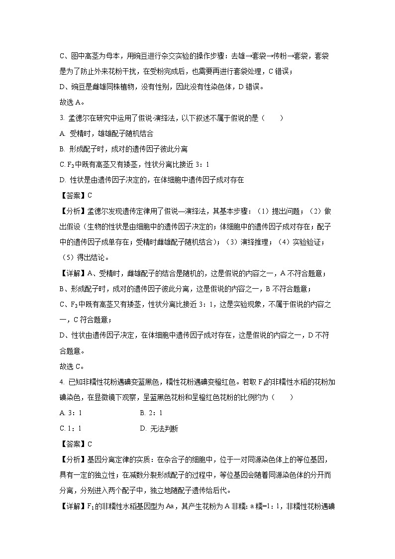 【生物】广西桂林市2023-2024学年高一下学期期末质量检测试题（解析版）第2页