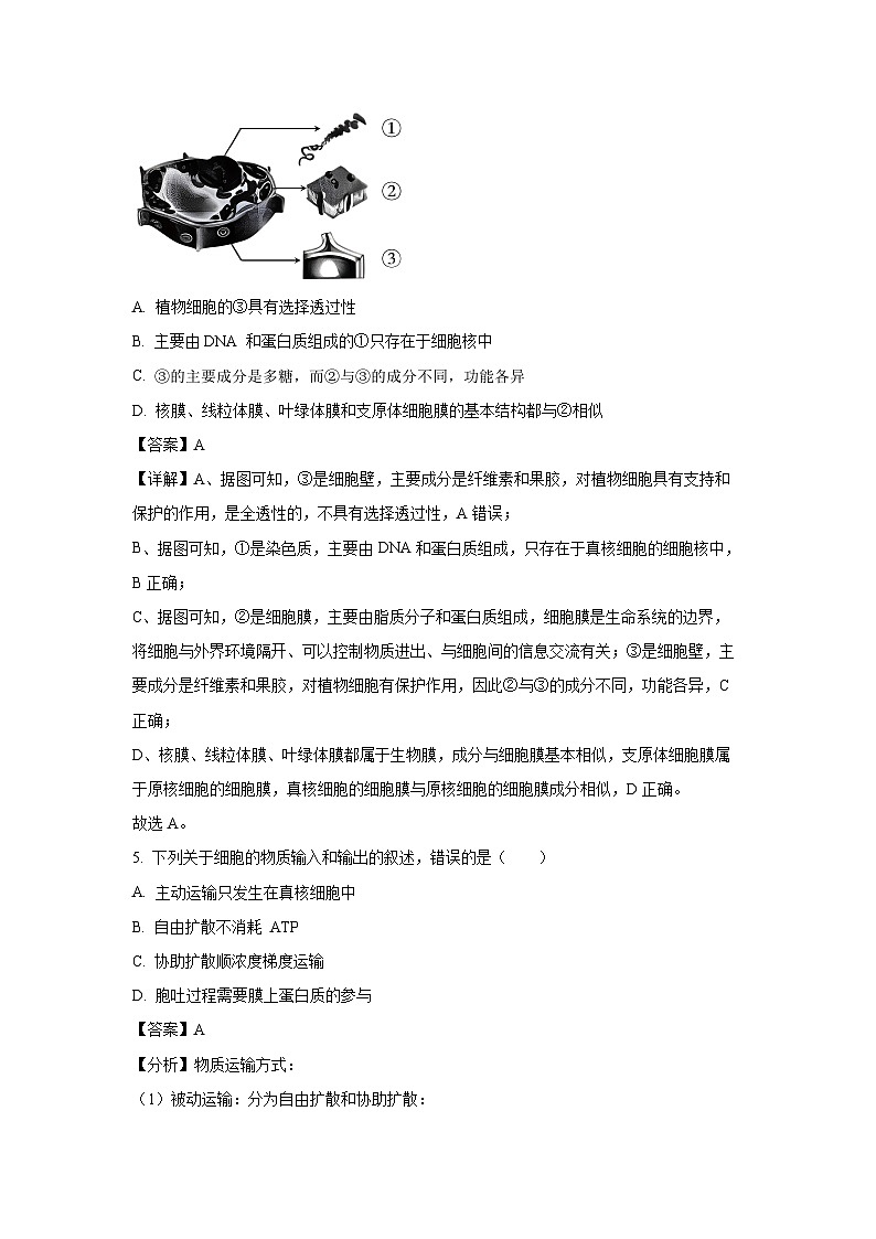 【生物】辽宁省辽阳市2023-2024学年高一下学期期末考试试卷（解析版）第3页