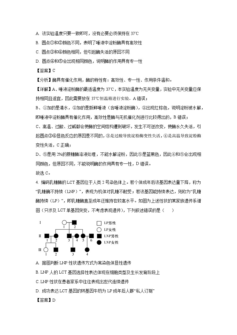 河南省信阳市2025届高三两校二模生物试卷（解析版）第3页