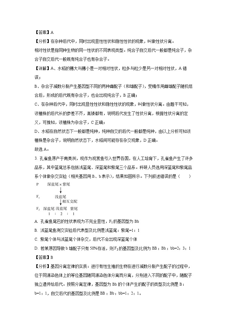 【生物】河北省廊坊市2023-2024学年高一下学期3月月考试题（解析版）第2页