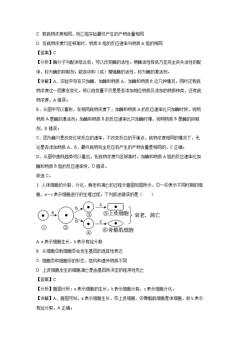 【生物】湖南省金太阳联考2024-2025学年高一下学期4月期中试题（解析版）第2页