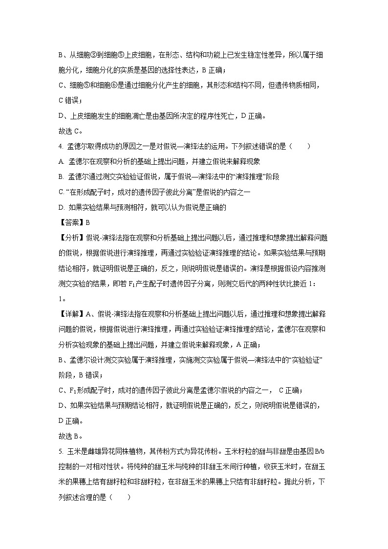 【生物】湖南省金太阳联考2024-2025学年高一下学期4月期中试题（解析版）第3页