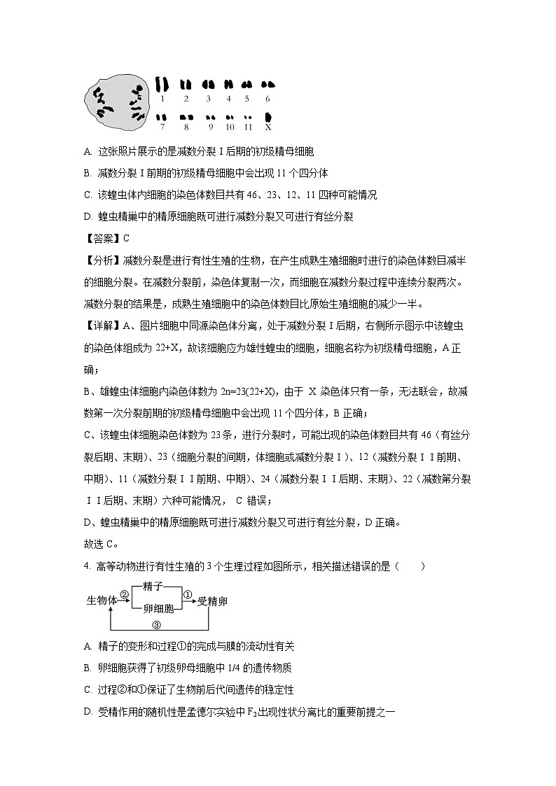 【生物】江苏省连云港市灌南县两灌联考2023-2024学年高一下学期3月月考试题（解析版）第3页