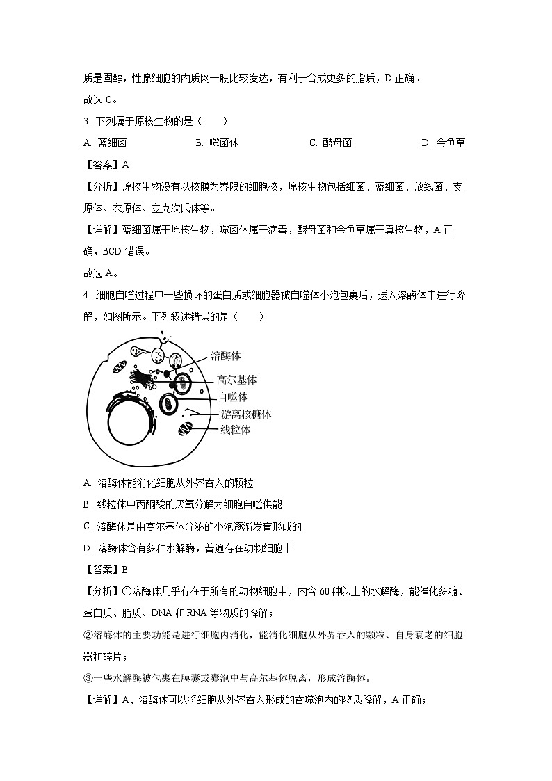 【生物】浙江省丽水市丽水发展共同体联盟2023-2024学年高一下学期4月月考试题（解析版）第2页