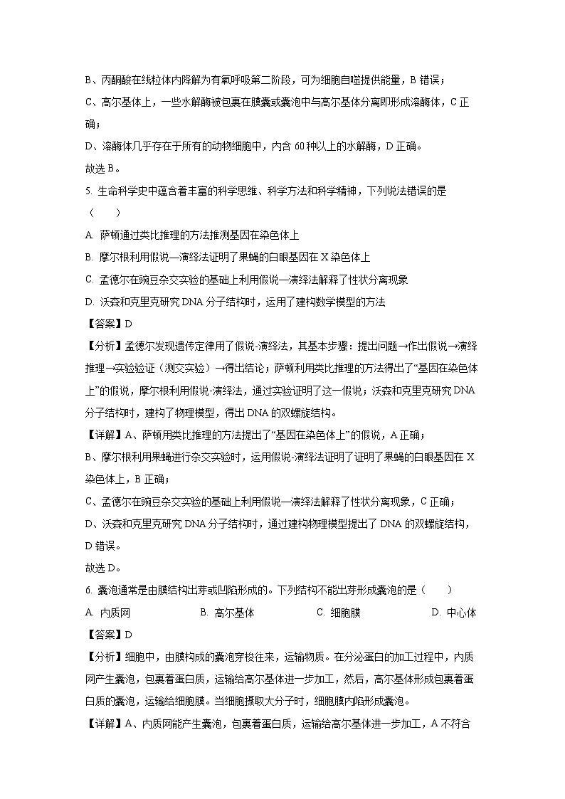【生物】浙江省丽水市丽水发展共同体联盟2023-2024学年高一下学期4月月考试题（解析版）第3页