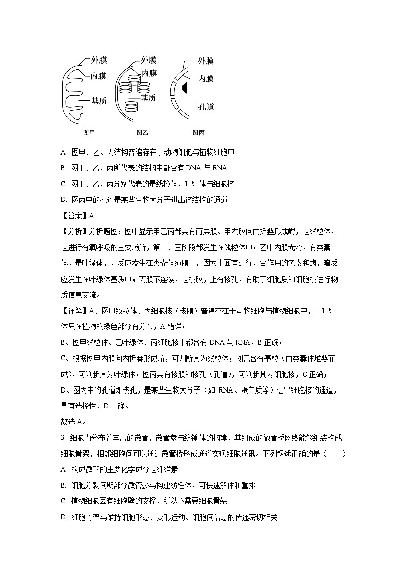 【生物】浙江省浙东北县域名校发展联盟2024-2025学年高一下学期4月期中试题（解析版）第2页