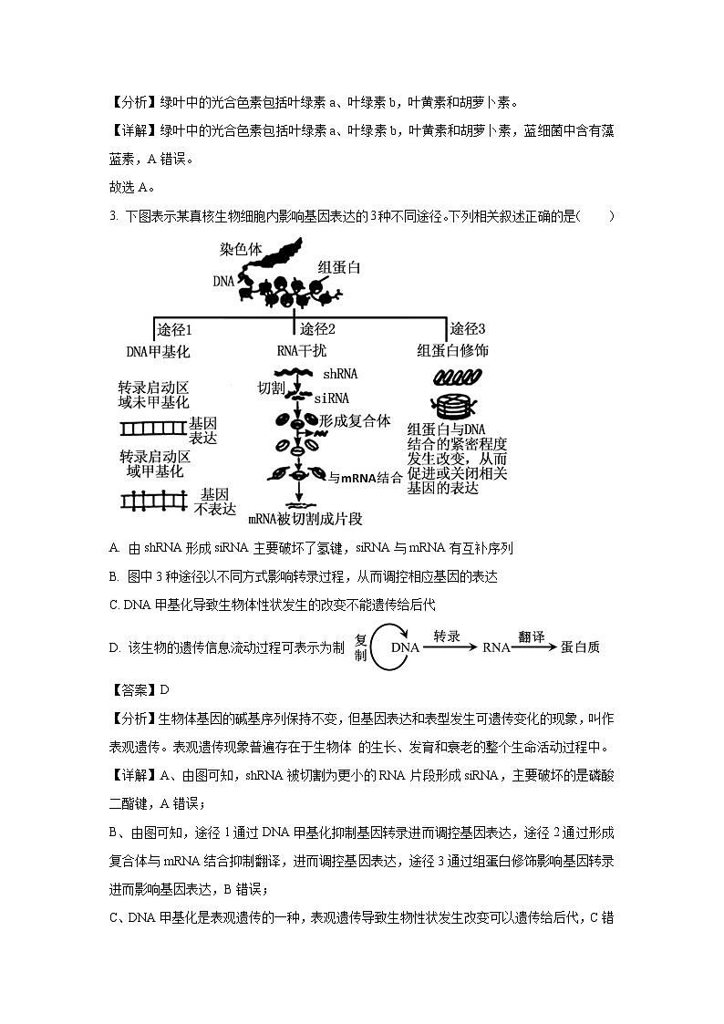 河南省信阳市两校2025届高三二模生物试卷（解析版）第2页