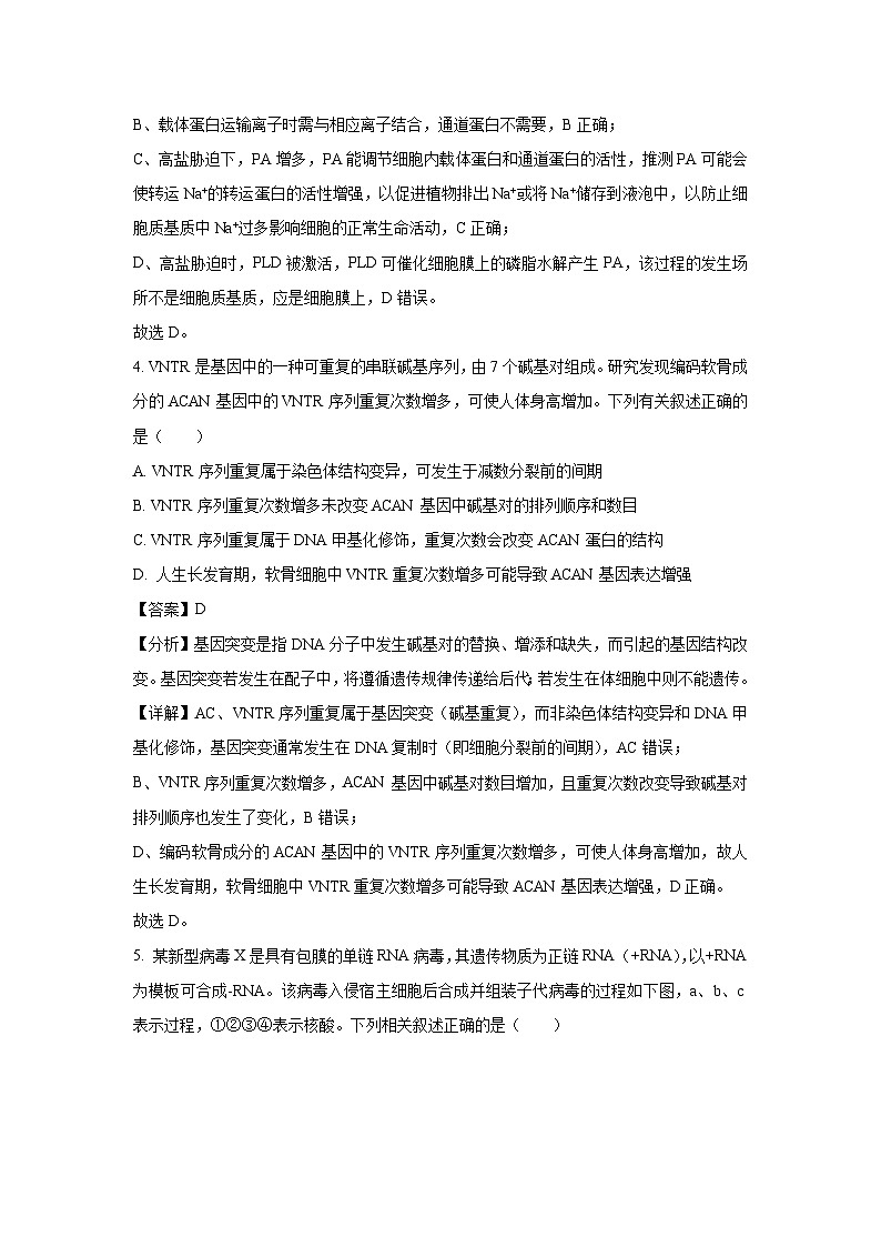 河南省部分学校2025届高三下第四次质量检测生物试卷（解析版）第3页